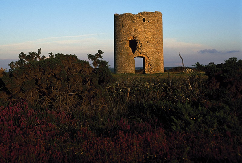 Randonnée : de la Réserve au Mont Doville