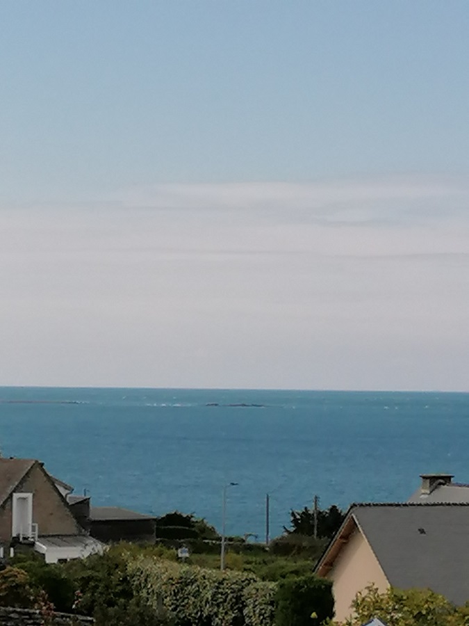 Meublé de tourisme > Magnolia Cottage