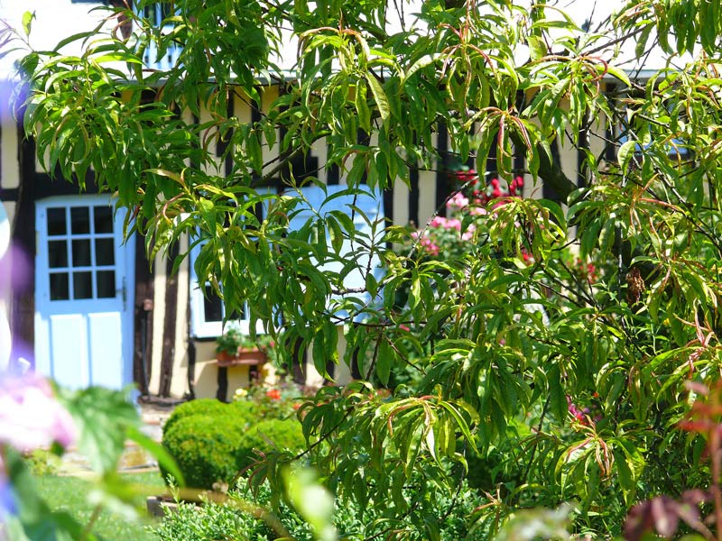 LA FOLLETIERE ABENON : Le retour aux sources - 12,8KM, La Folletière-Abenon - photo 4