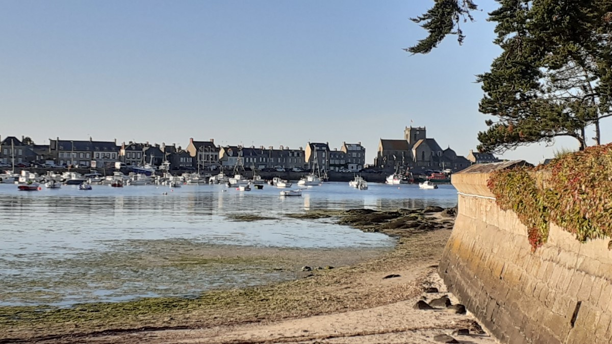 Meublé de tourisme > Maison de Ville, Barfleur - photo 19