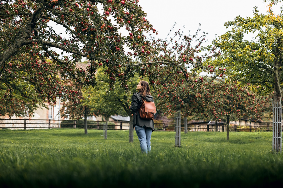 Image de la promenade