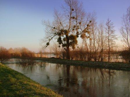 Saint-Sauveur-le-Vicomte < > La Haye-du-Puits, Saint-Sauveur-le-Vicomte