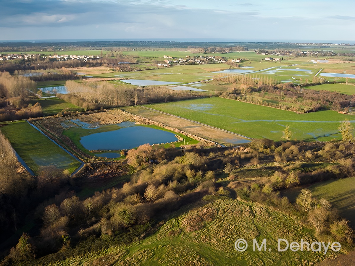 L'estuaire de l’Orne, Sallenelles - photo 3