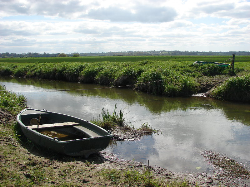 Randonnée Les cigognes des marais de l'Aure, Canchy
