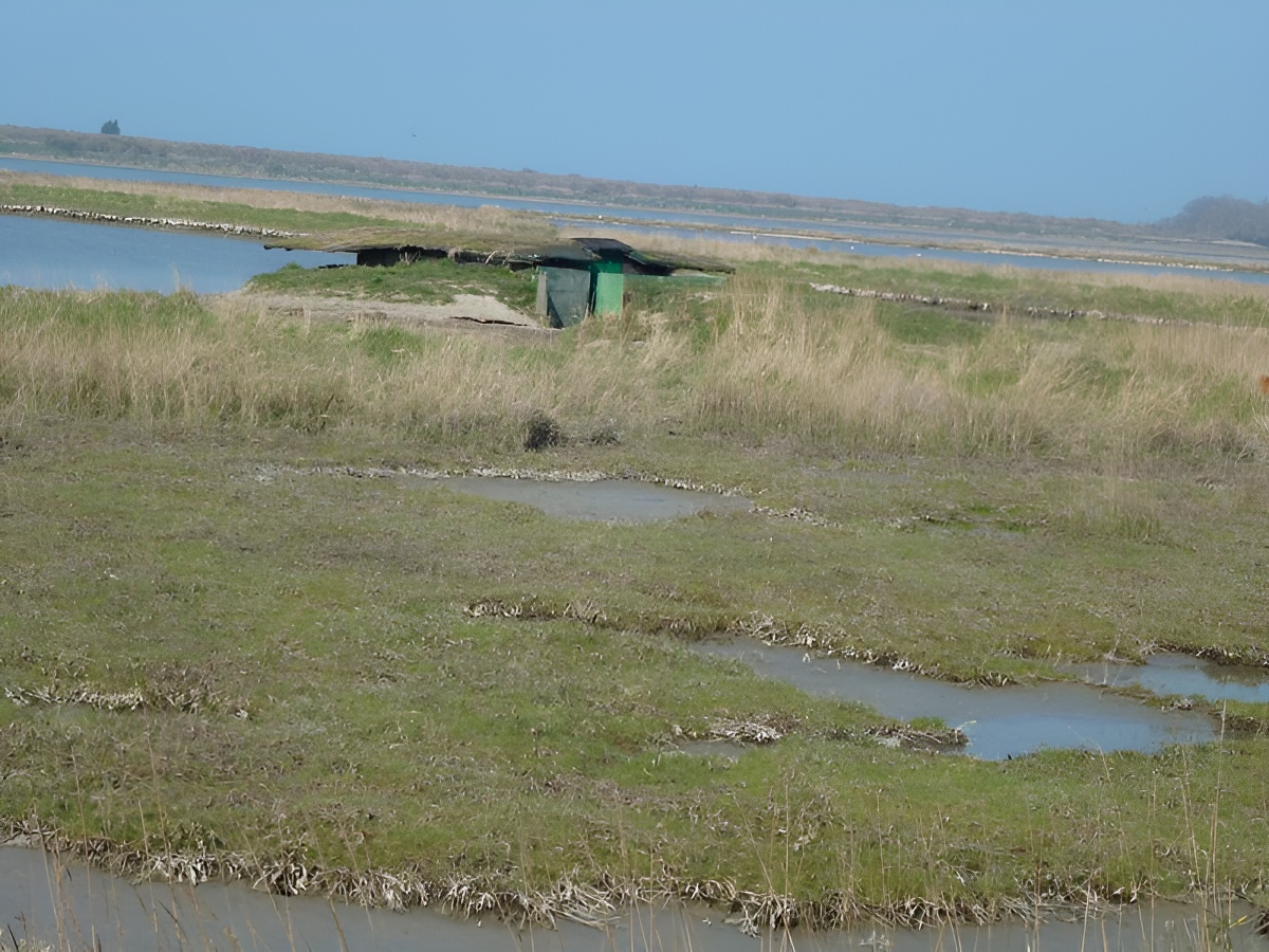 L'estuaire de l’Orne, Sallenelles - photo 13
