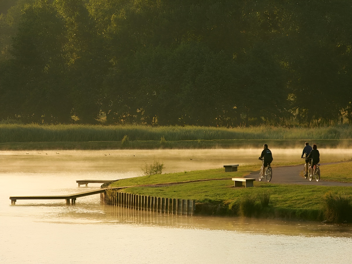 Le marais de Blonville-Villers