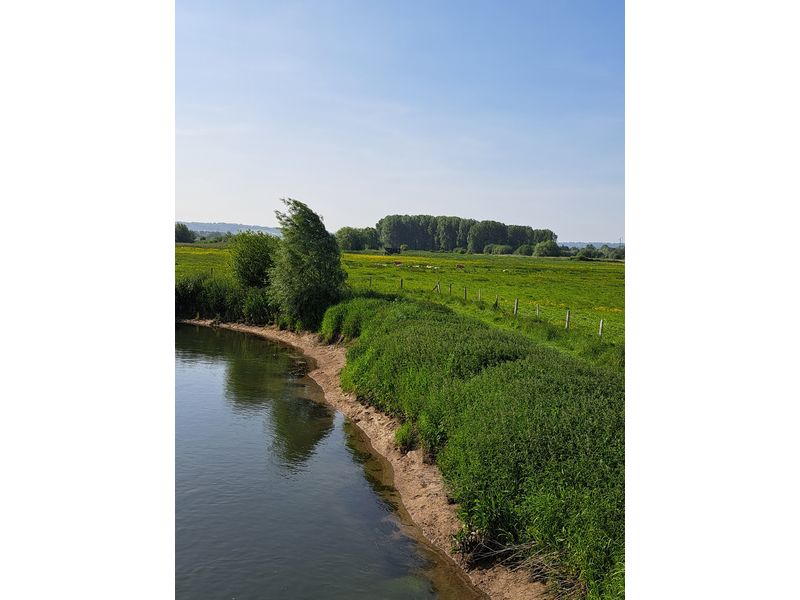 Les Marais créatifs