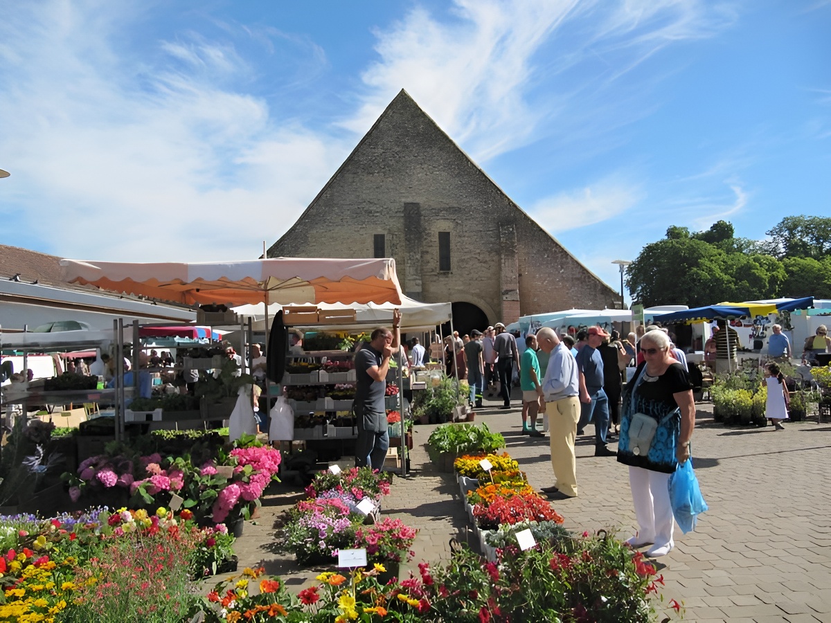 La Halle Médiévale de Saint-Pierre-sur-Dives, Saint-Pierre-en-Auge