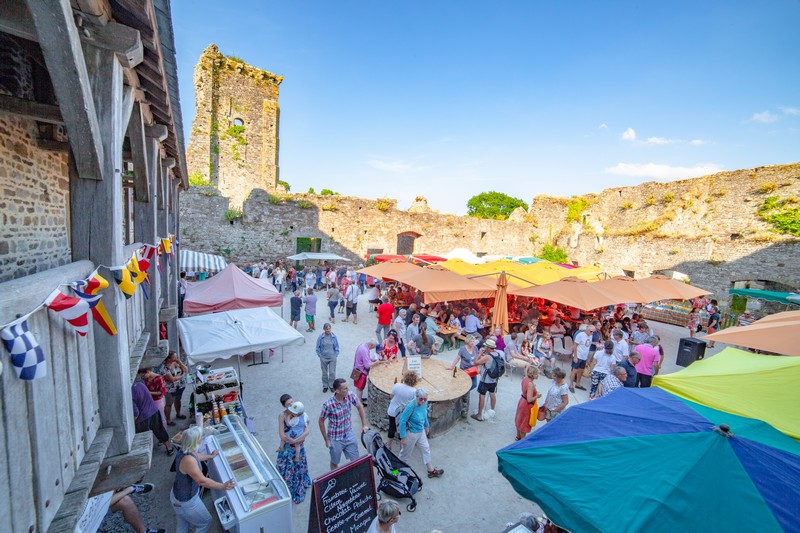 Château médiéval de Regnéville, Regnéville-sur-Mer - photo 4