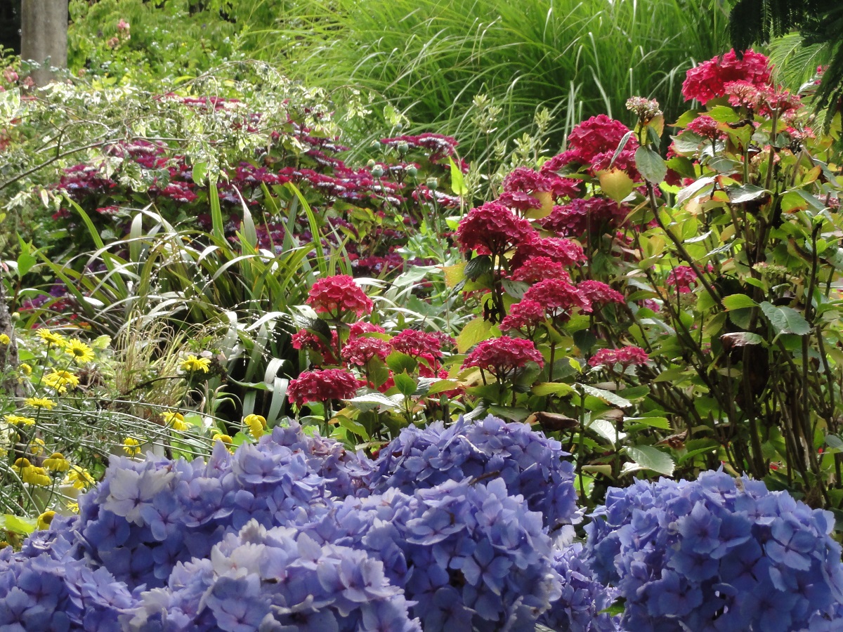 Jardin La Ferme des Roches, Martinvast - photo 14