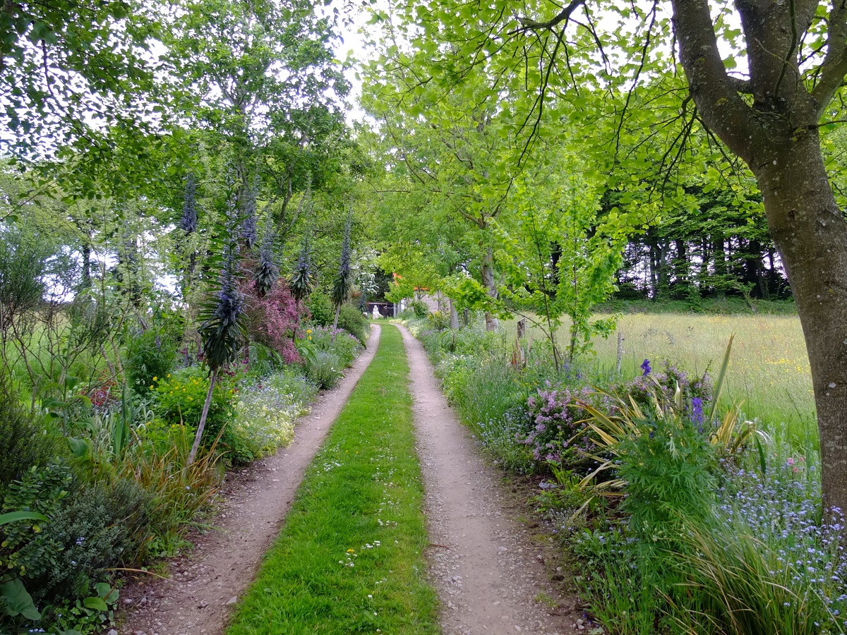 Jardin La Ferme des Roches, Martinvast - photo 8