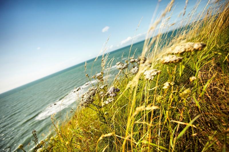 La Route des Chiffonniers - Étape 1 - St-Pair-Sur-Mer - La Lucerne d'Outremer