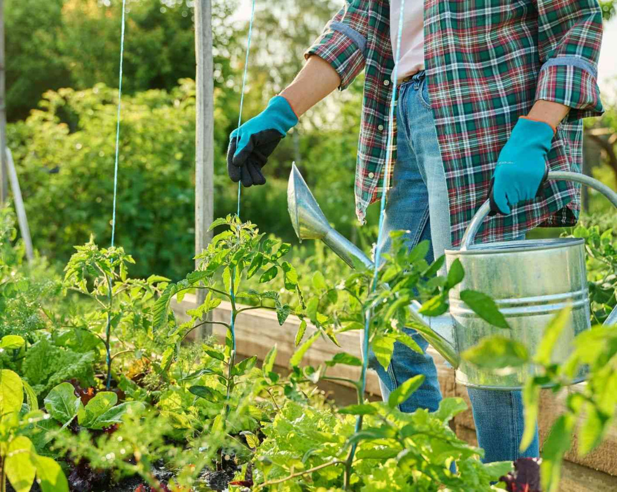 Exposition "Mission potager"