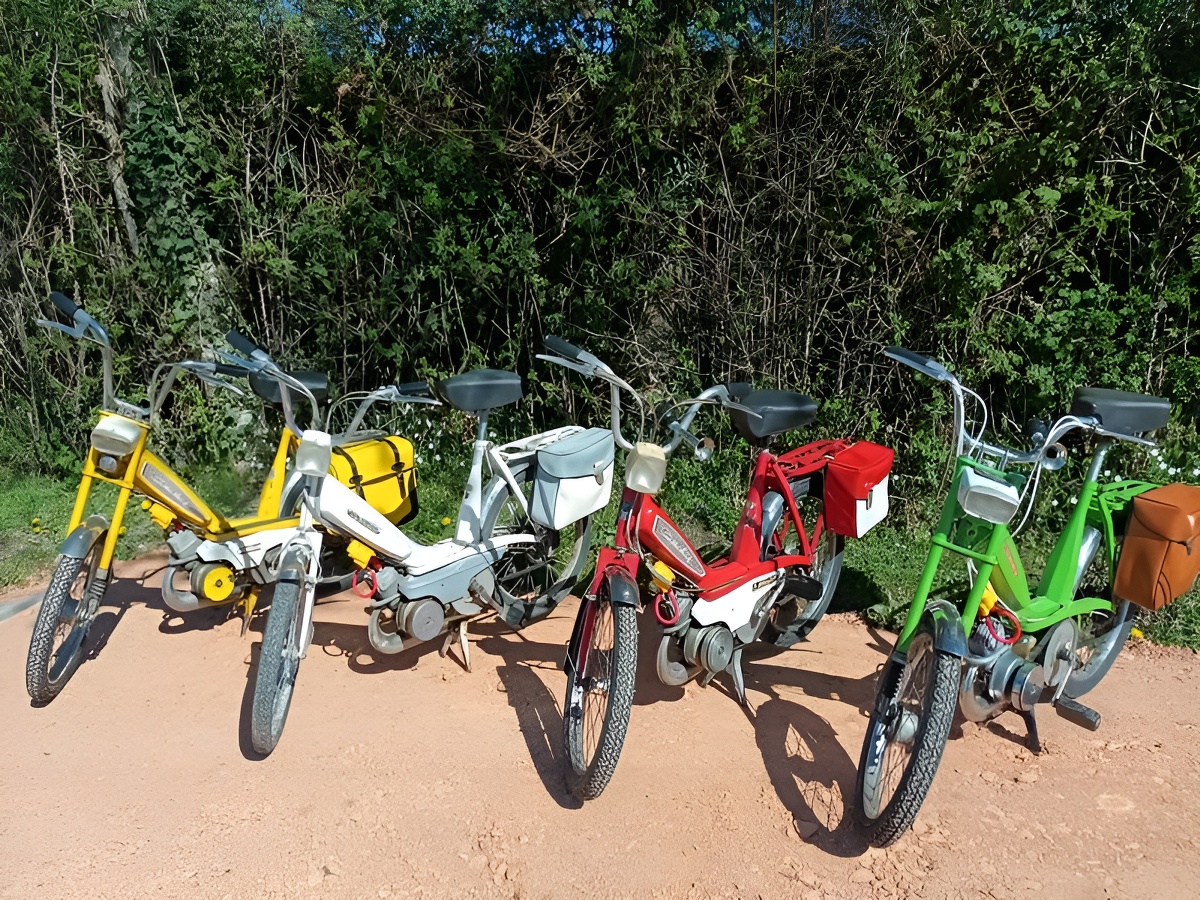Les Mobylettes de Célinette, Livarot-Pays-d'Auge - photo 3