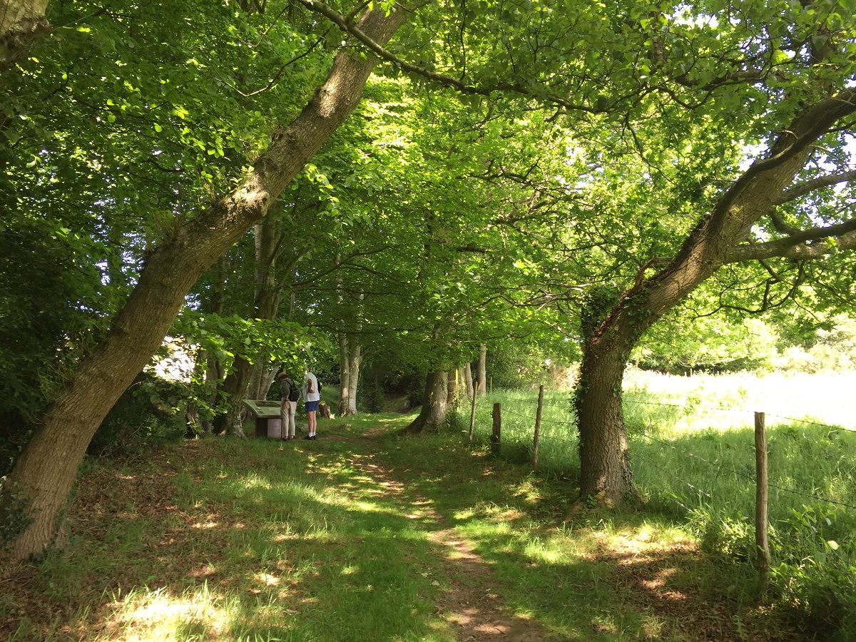 Les vieilles pierres du mont Castre - Randonnée, Montsenelle - photo 2