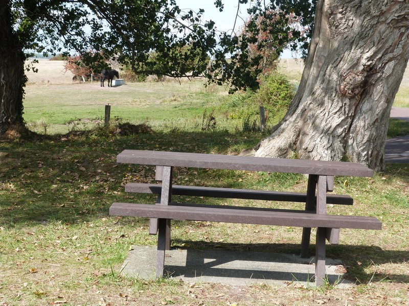 Aire de Pique Nique > Entrée plage - photo 2