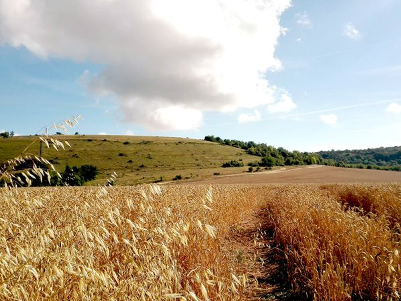 La Vallée de l'Ante, Eraines - photo 3