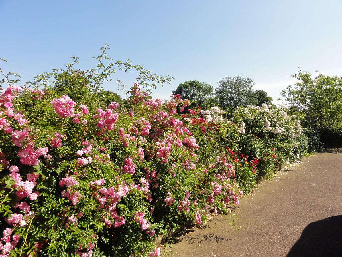 Meublé de tourisme > Le Trochu, Morigny - photo 10
