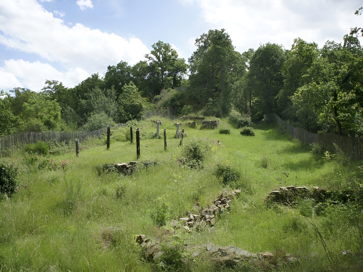 Forêt de Grimbosq, Grimbosq - photo 7