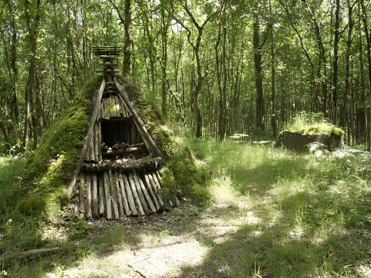 Forêt de Grimbosq, Grimbosq - photo 4
