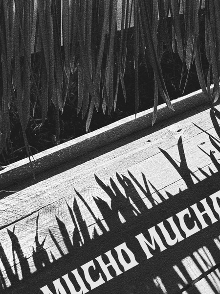 Mucho Mucho — photo 3