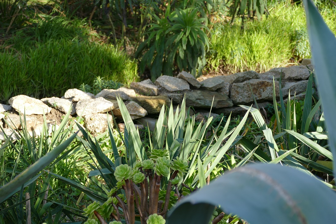 L'intérêt des murets en pierres sèches au jardin