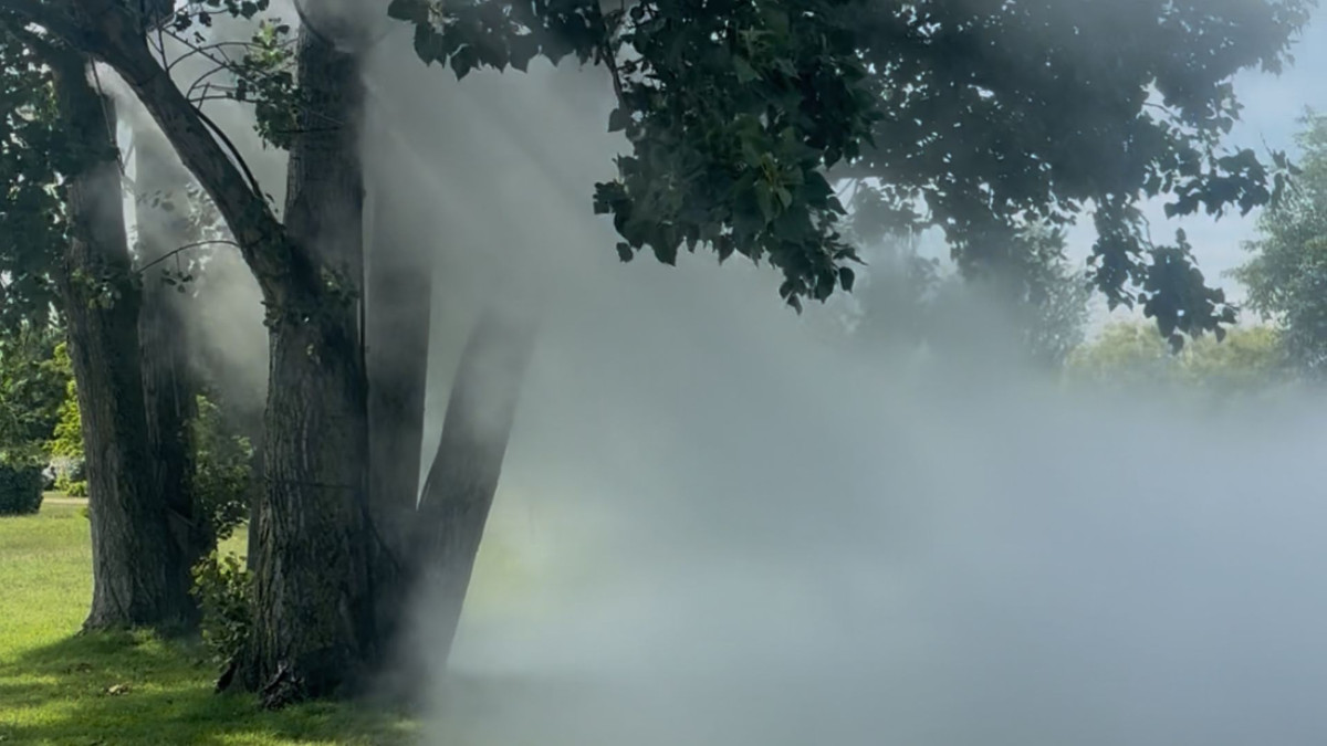 Finissage : Visite flash autour de l'œuvre de Fujiko Nakaya - Fog tree #07031