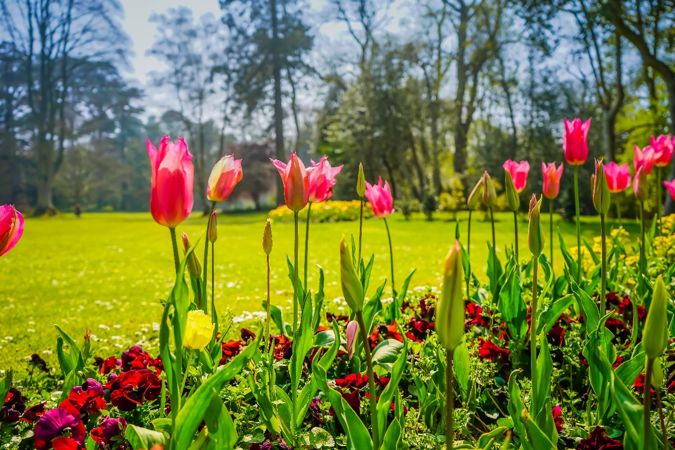 Jardin botanique de Bayeux