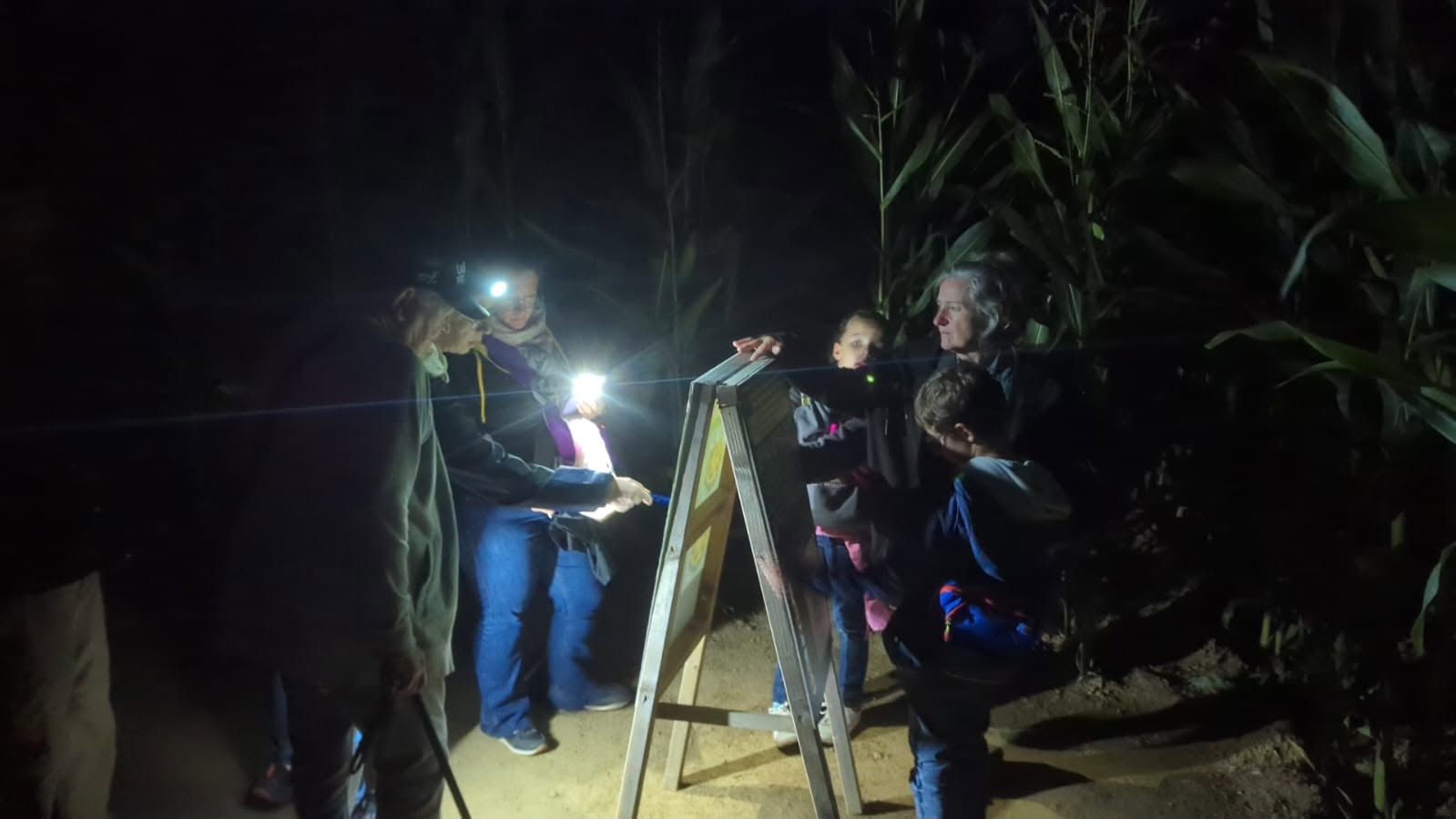 Nocturnes au Labyrinthe de Honfleur