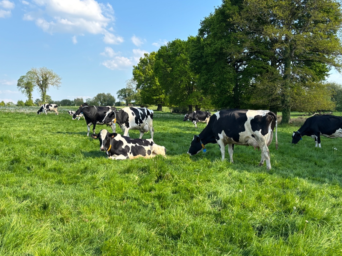La Ferme de Grémi