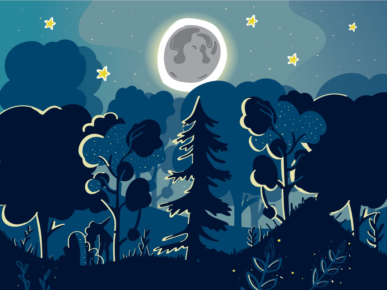 La nuit au jardin