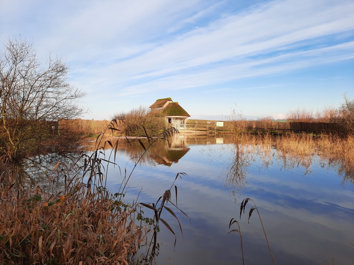 Des marais à découvrir