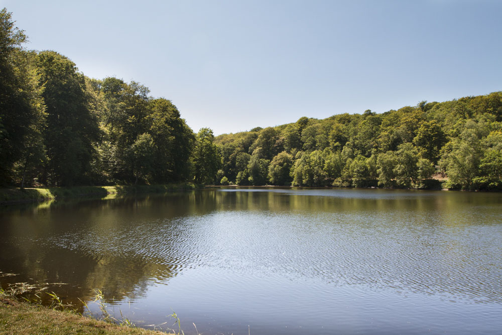 17ème Randonnée Granit' eau bois à Saint-Sever-Calvados