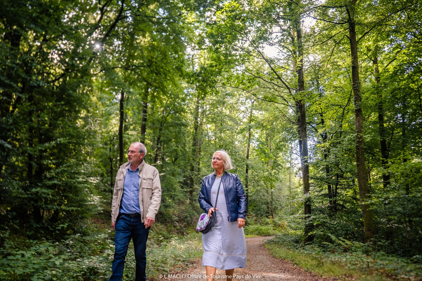 Forêt Domaniale de Valcongrain, Les Monts d'Aunay - photo 4