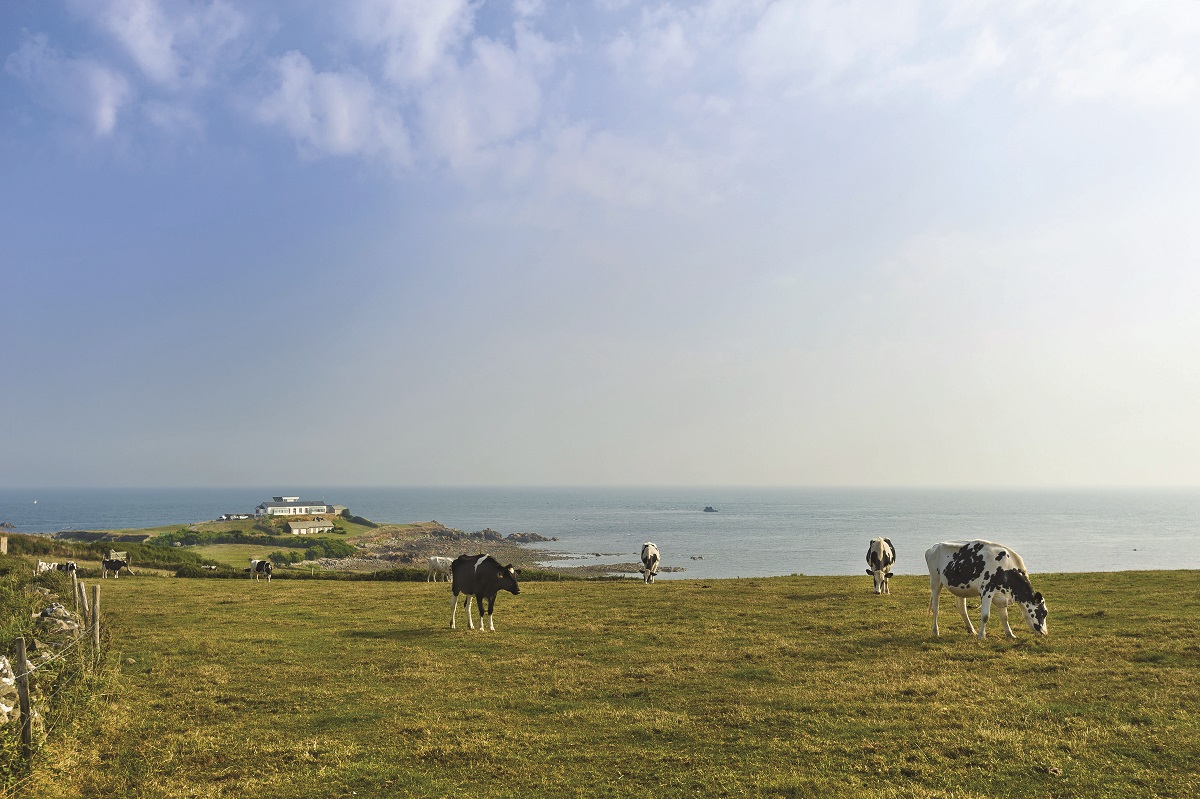 Visite guidée : La pointe de Jardeheu vue par un géologue