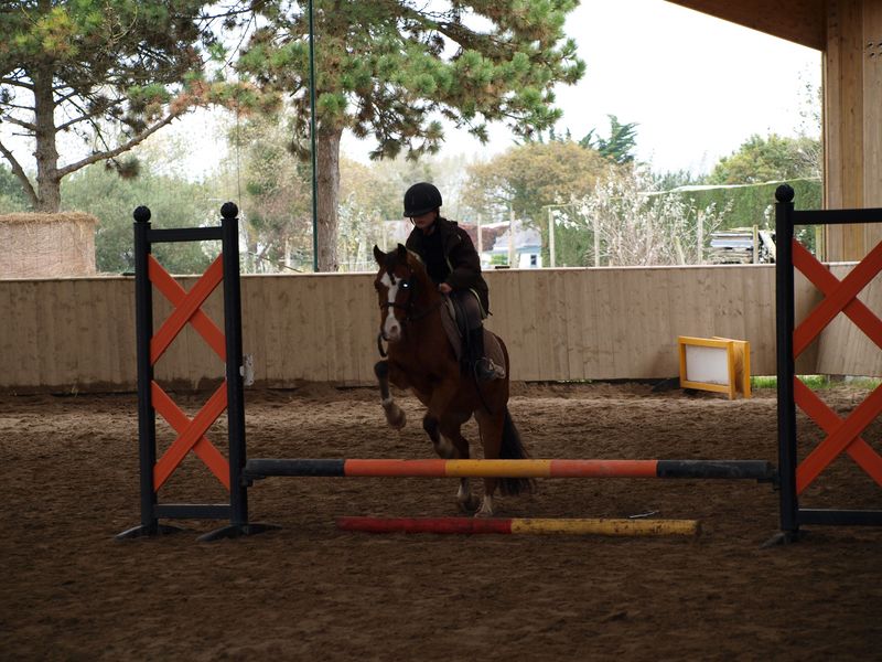 Centre Equestre d'Hauteville-sur-Mer, Hauteville-sur-Mer - photo 3