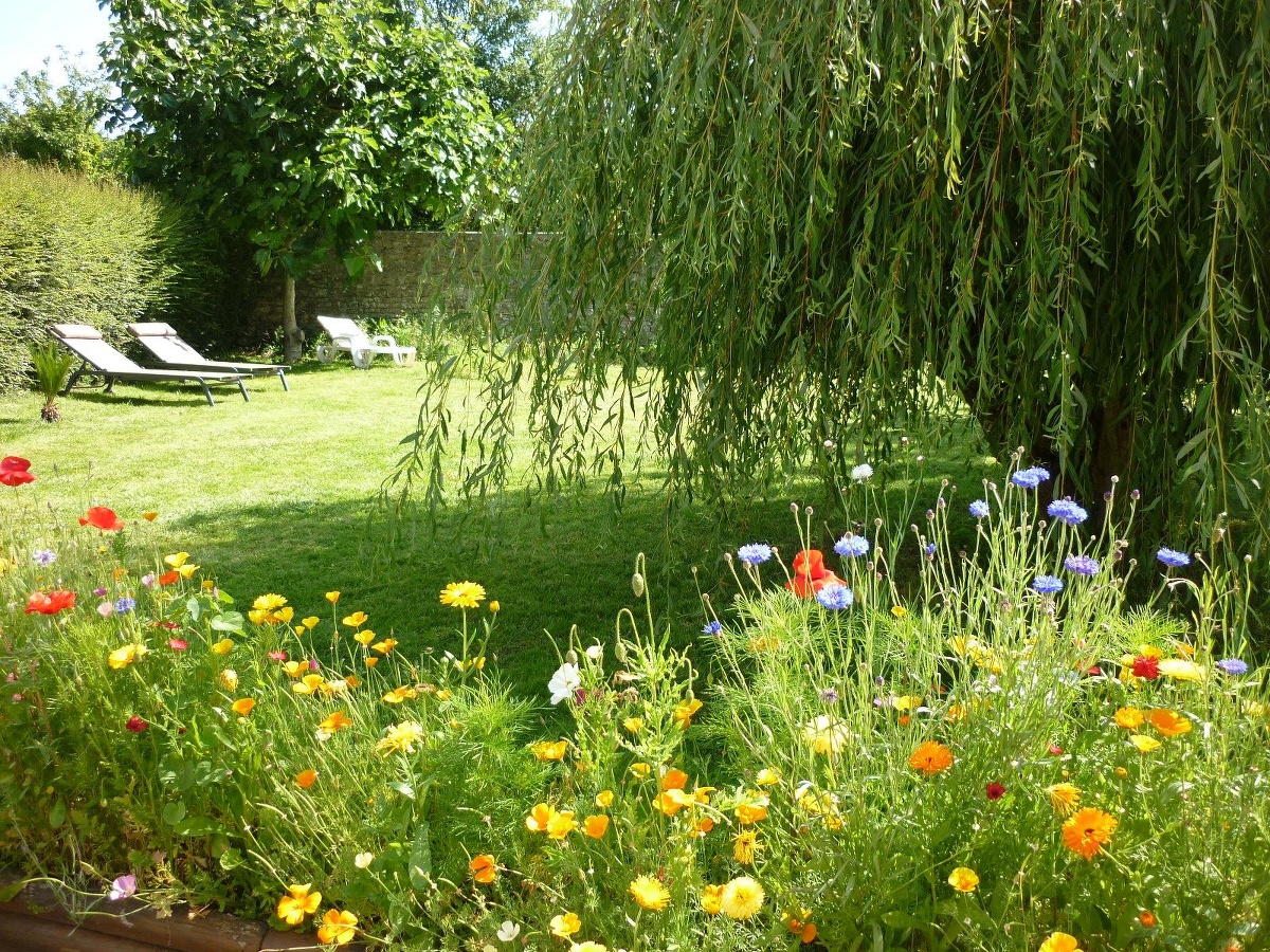 La Roselière, Bazenville - photo 7