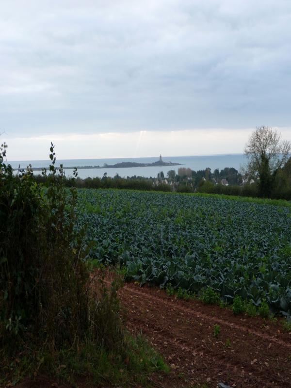 Les balcons du Val de Saire, Quettehou