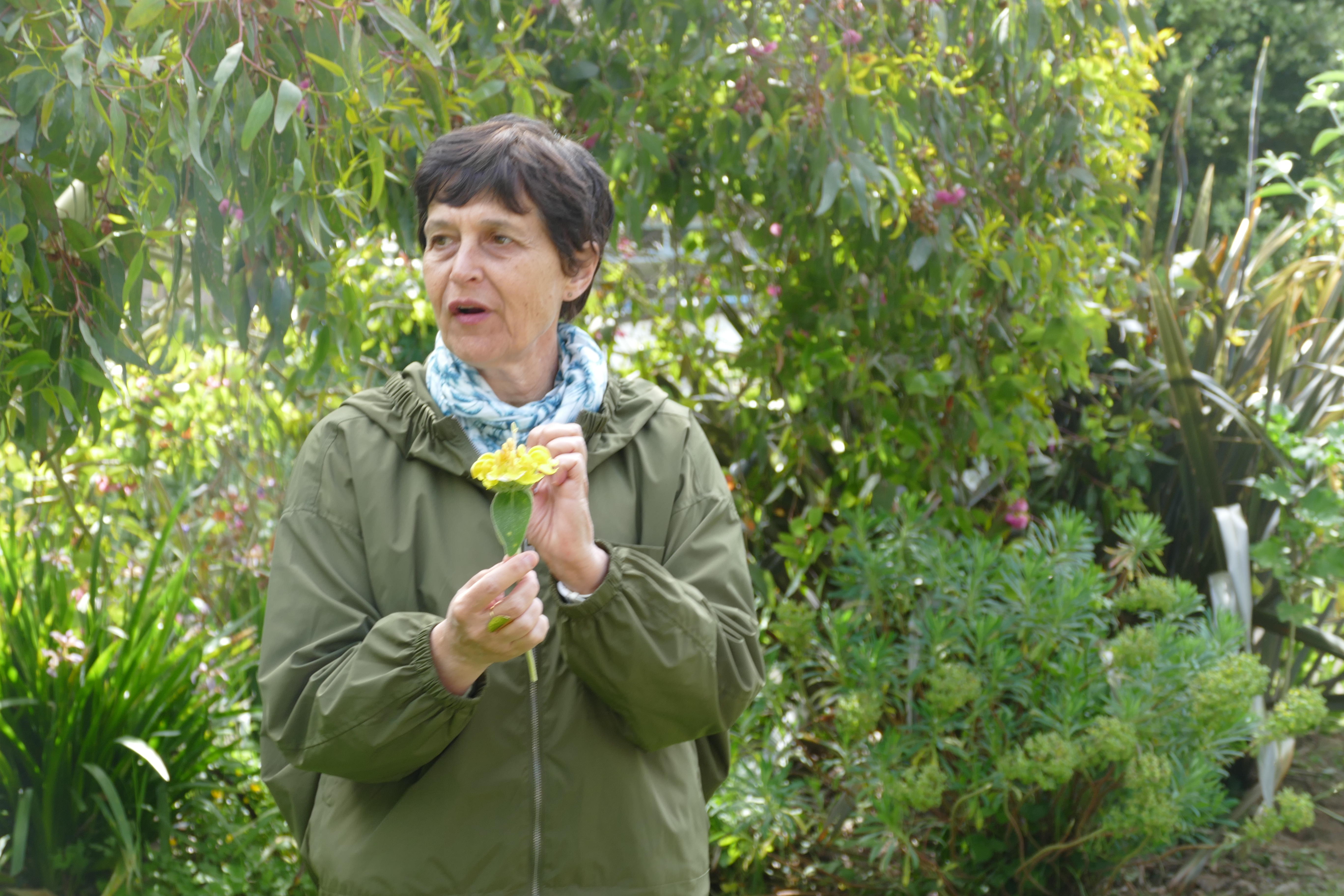 Empreintes-Encapsuler un jardin-Eveil
