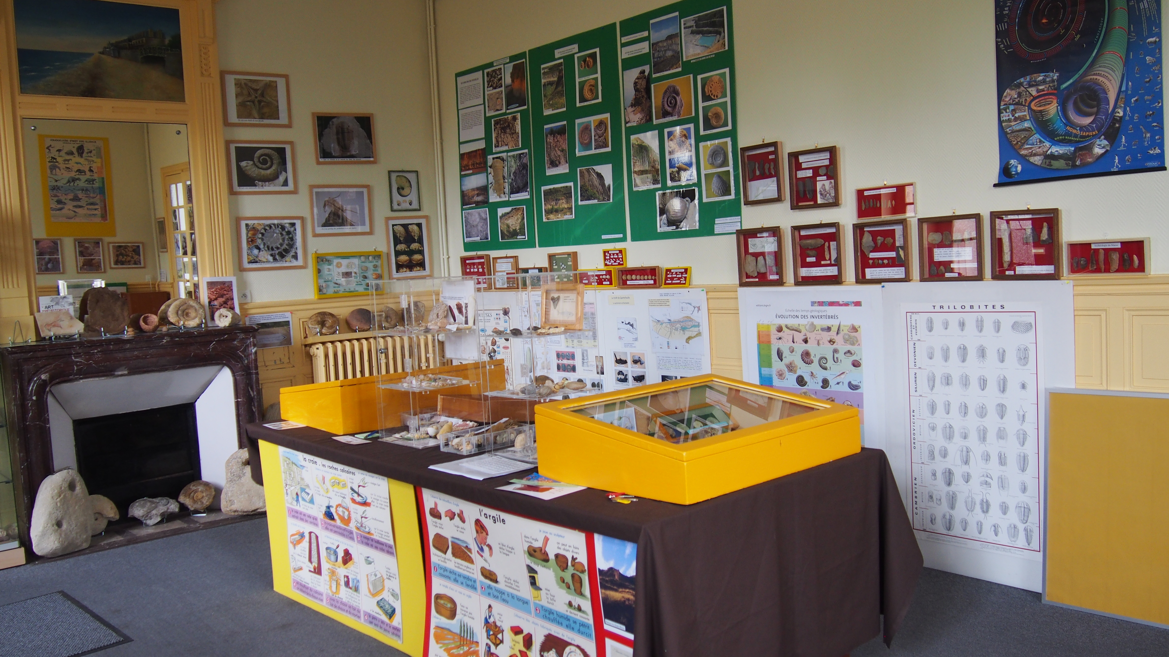 Maison des curiosités naturelles