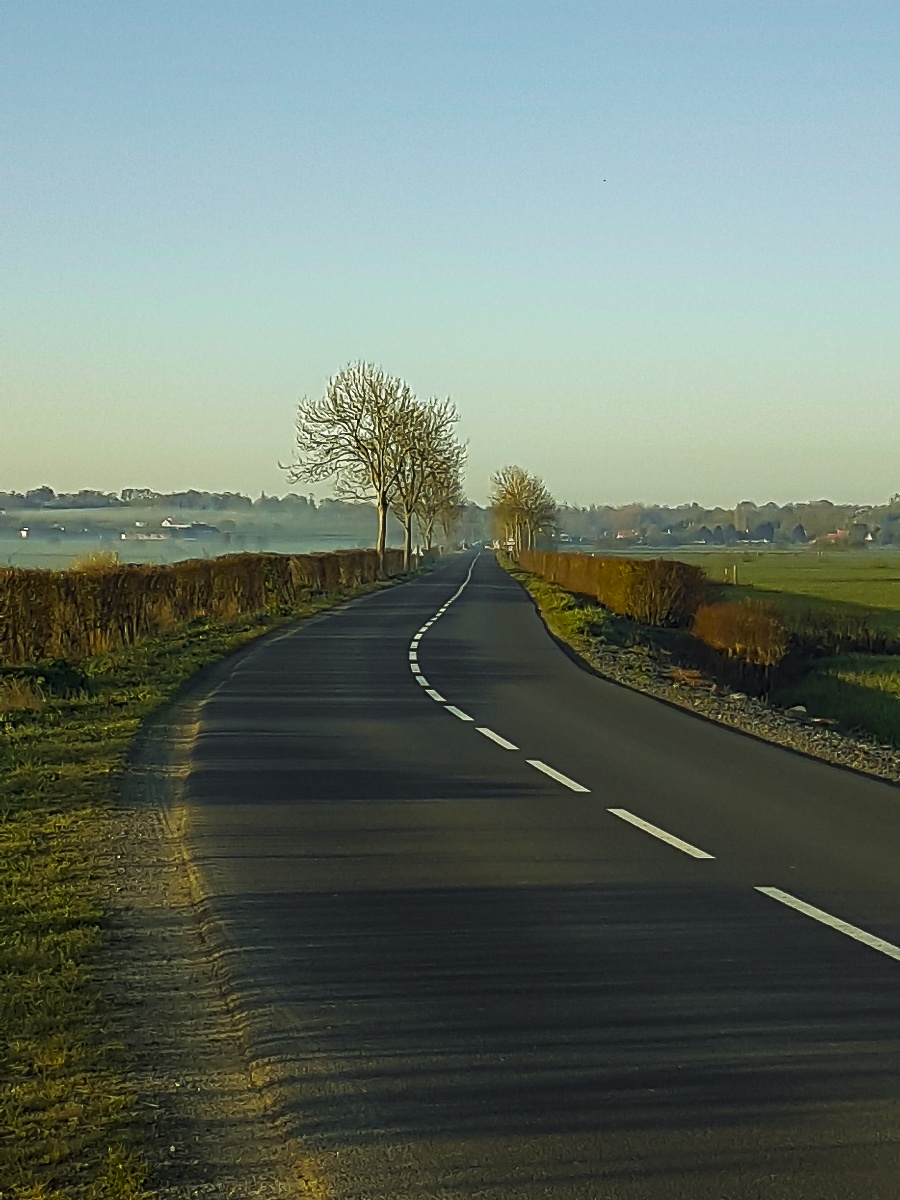 Le domaine des roseraies, Gite Flaubert, Monfréville - photo 13