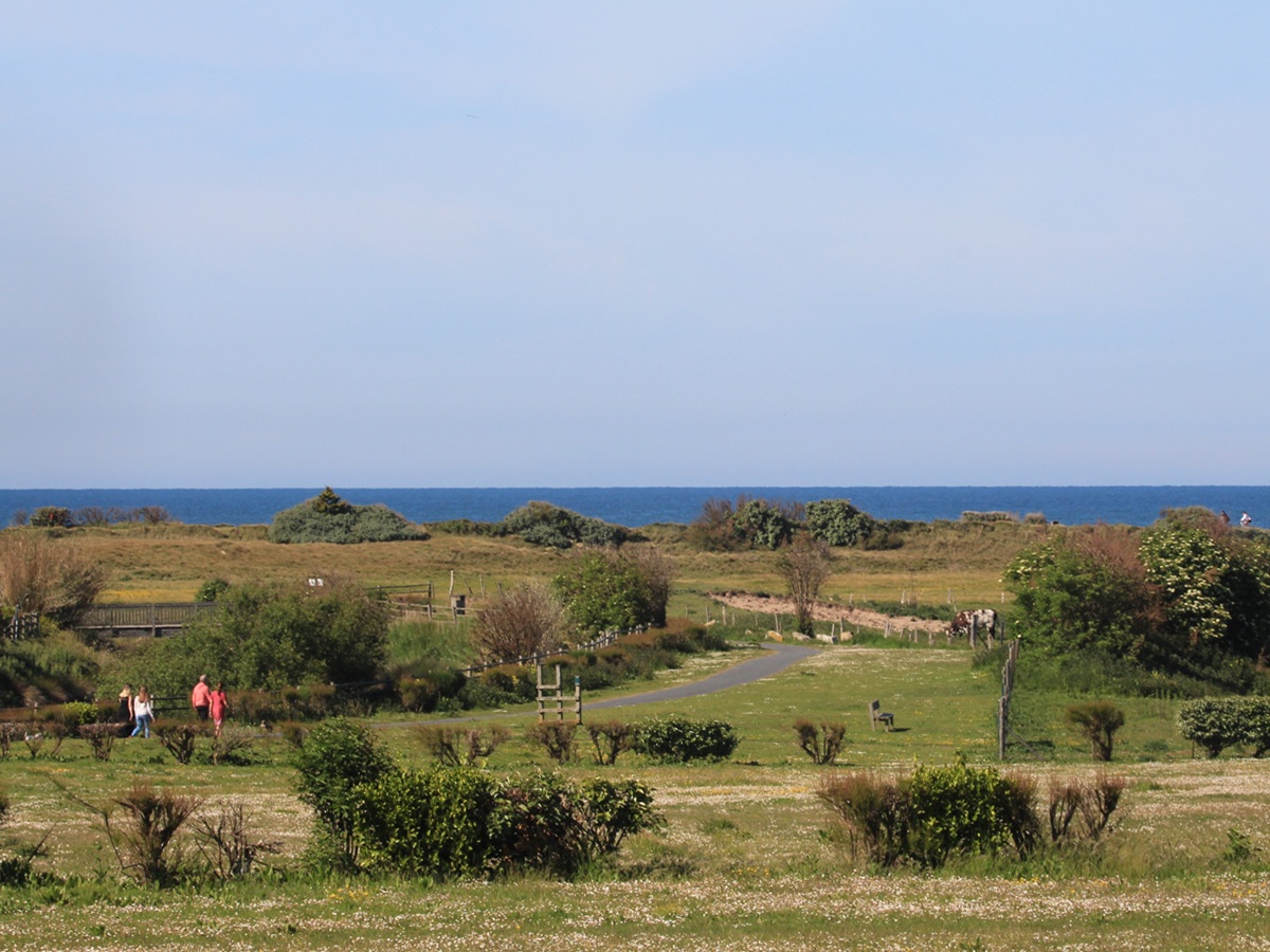 Aire de camping-car communale du Parc de l'Edit à Courseulles-sur-Mer, Courseulles-sur-Mer - photo 12