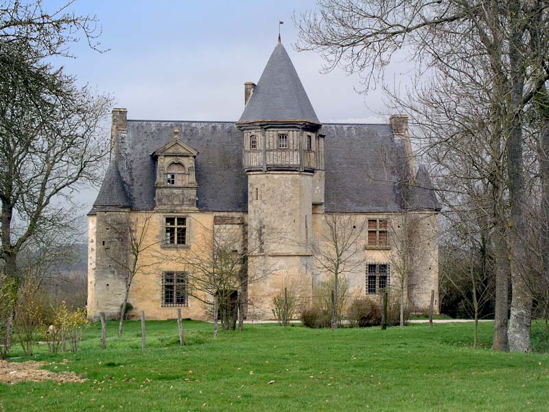 Manoir d'Argentelles - Villebadin