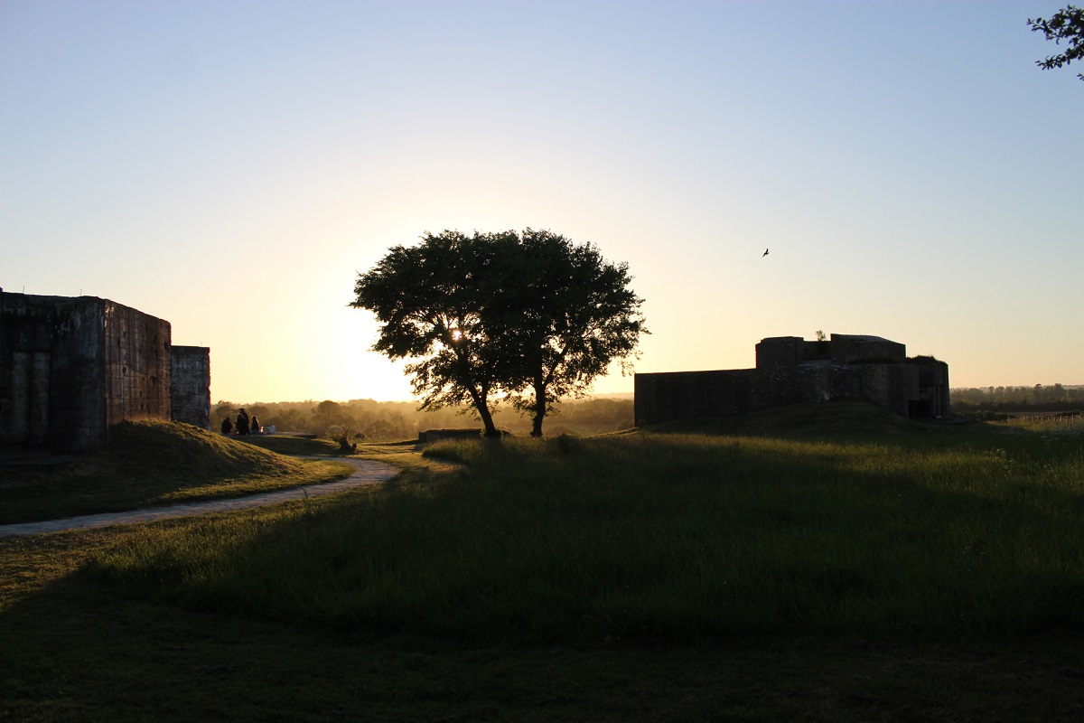 Pierres en lumières à la batterie d'Azeville