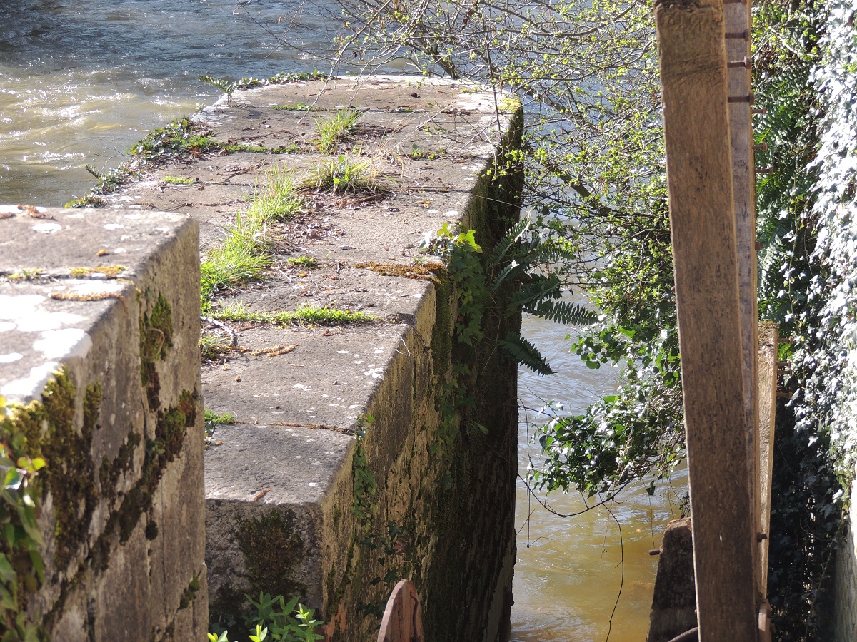 La Marche vers l'eau, Orval sur Sienne - photo 2