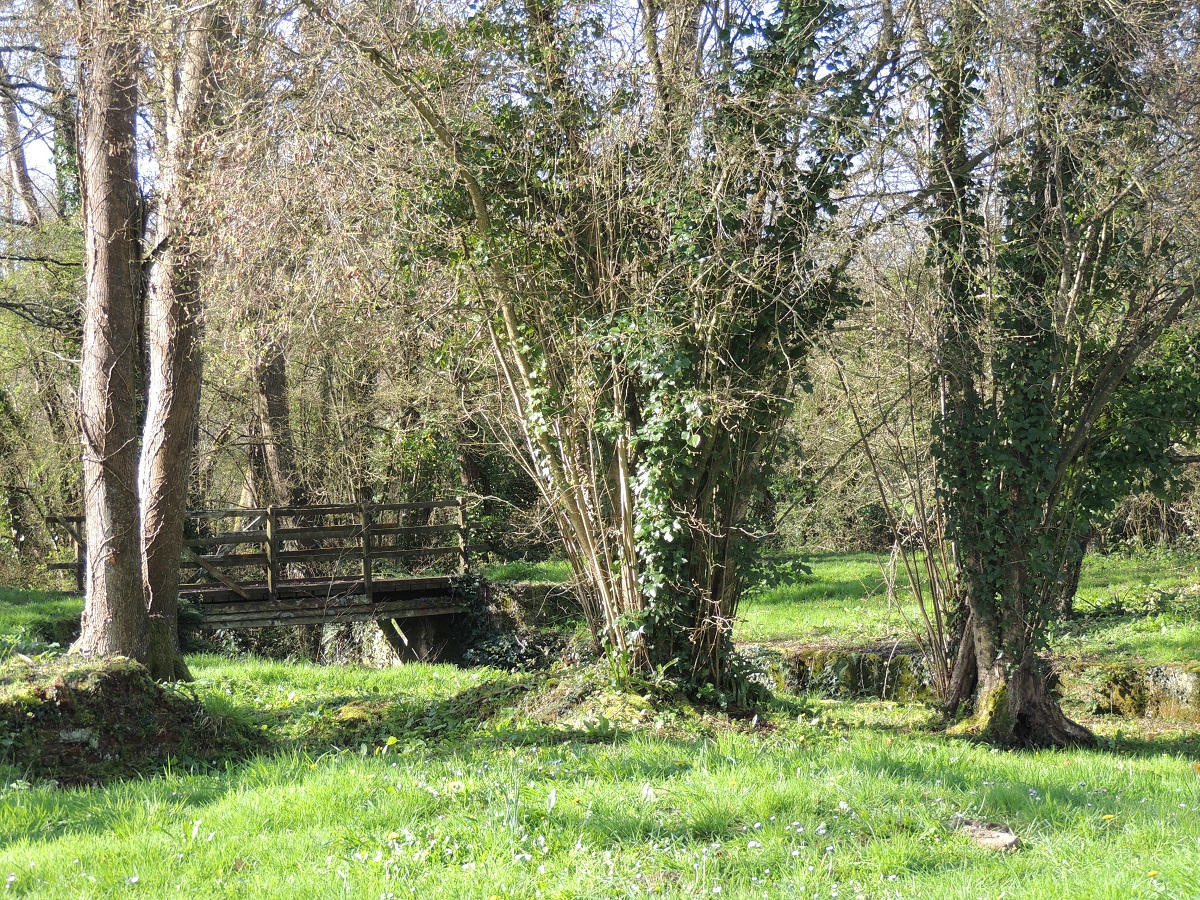 La Marche vers l'eau, Orval sur Sienne