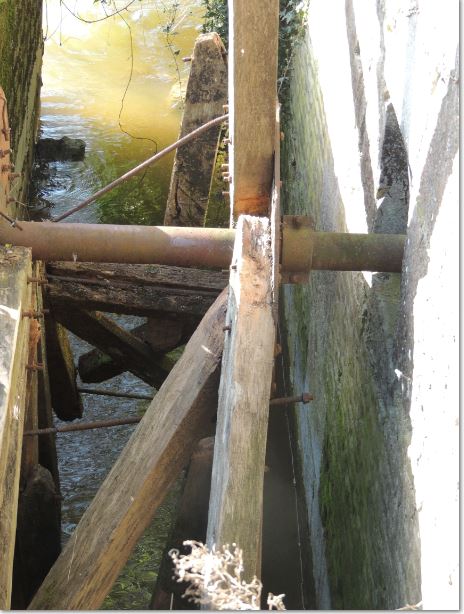 La Marche vers l'eau, Orval sur Sienne - photo 5
