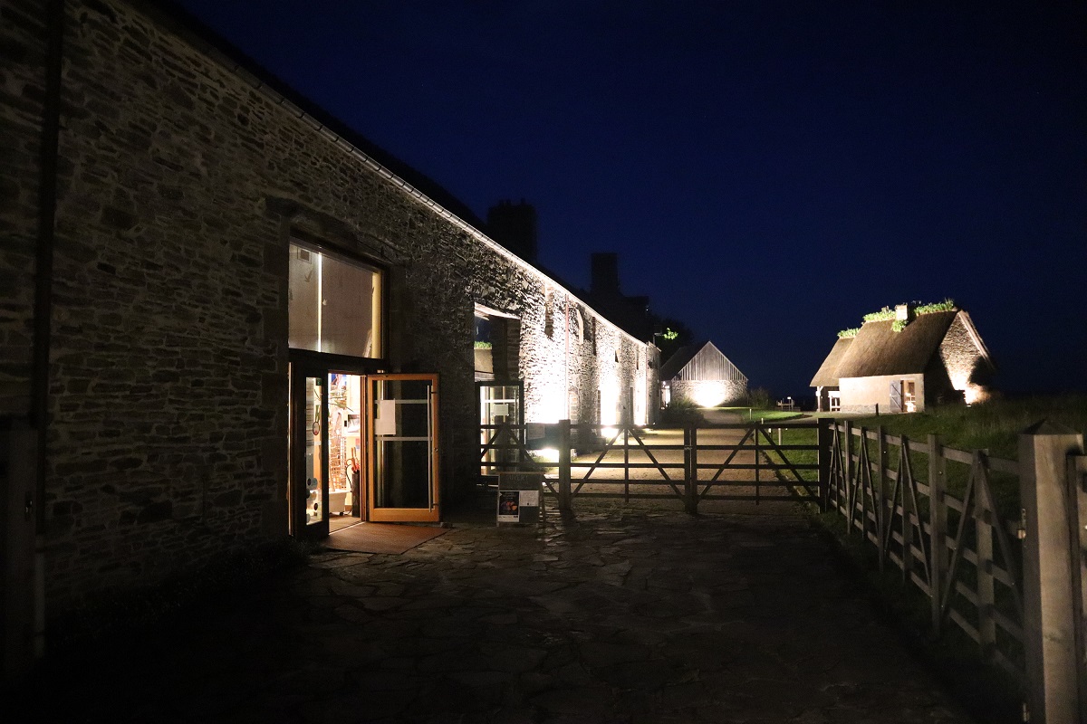 Animation jeune public "Les animaux de la nuit prennent la lumière !"