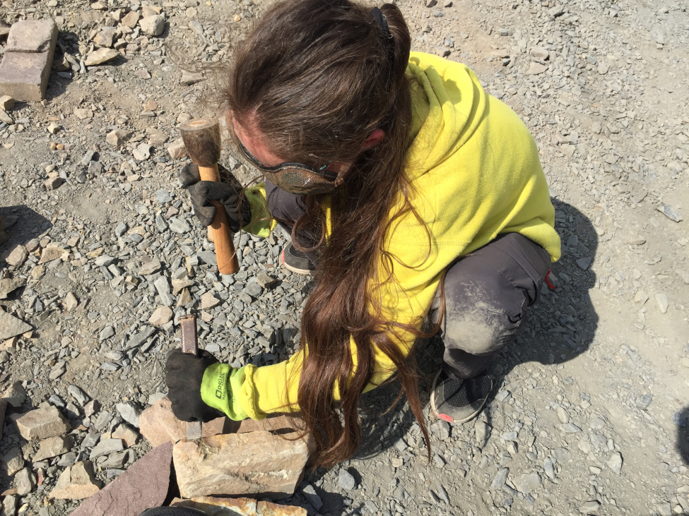Atelier de découverte : construction en pierre sèche - photo 2
