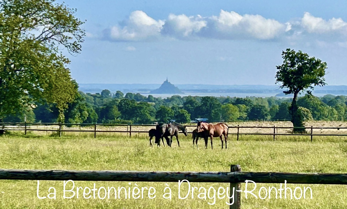 Chambres d'hôtes > La Bretonnière